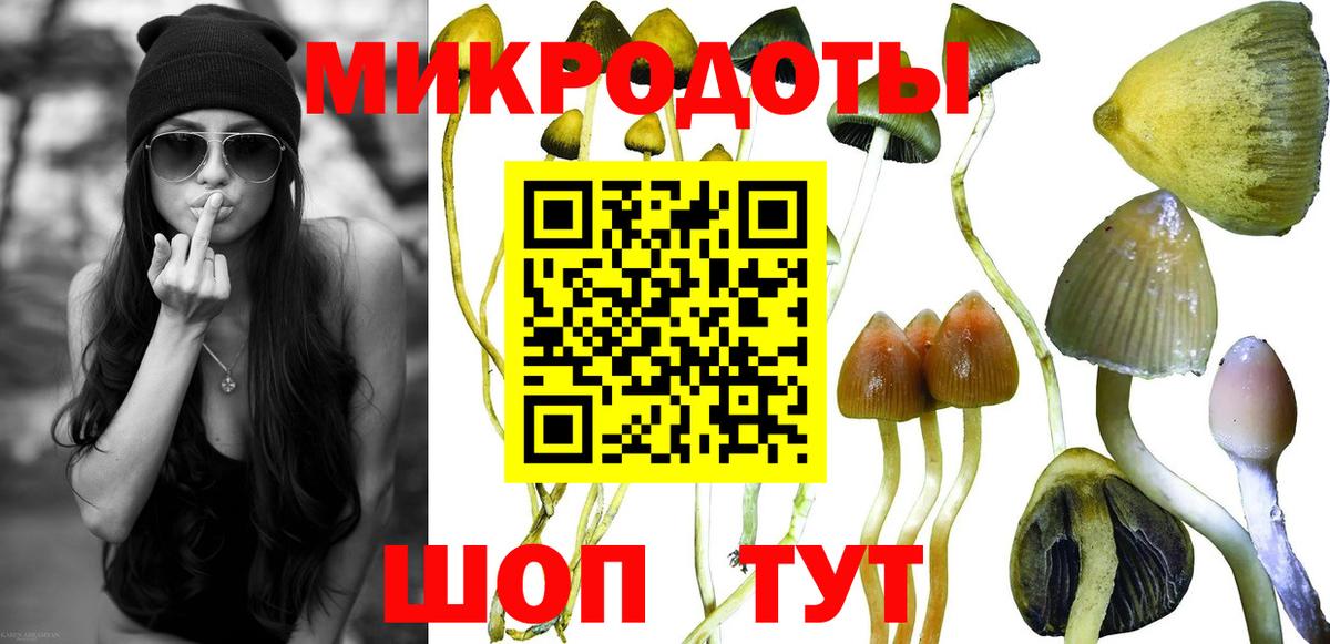 Чехов  Галлюциногенные грибы MAGIC MUSHROOMS  Вход с VPN 