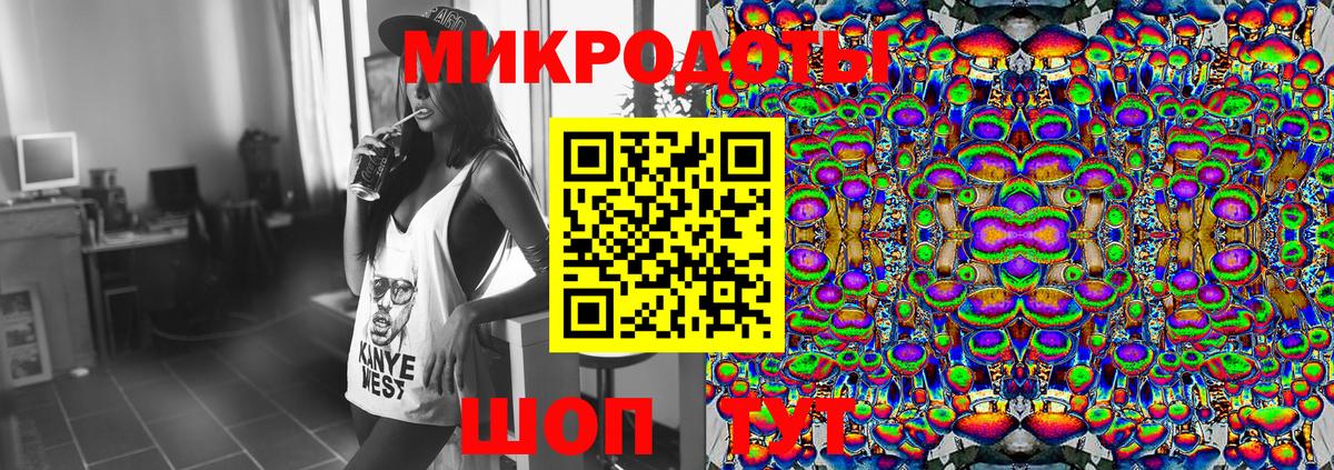 Псилоцибиновые грибы прущие грибы Чехов